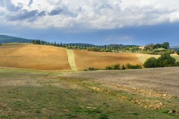 Landscape in Chianti region in province of Siena. Tuscany. Italy