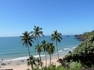 Fototapeta na wymiar Coconut trees and Beach green nature landscape