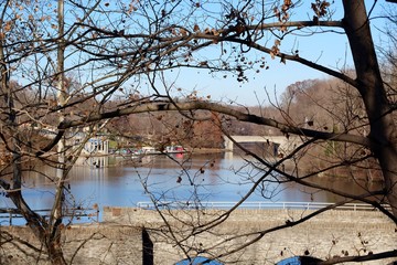 A view of the lake though the bare trees in the forest.