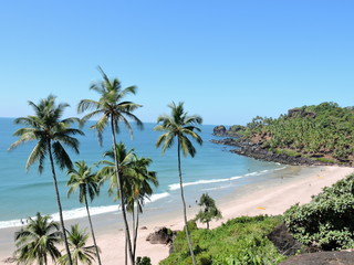 Fototapeta na wymiar Coconut trees and Beach green nature landscape