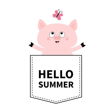 Hello summer. Pig face head in the pocket. Butterfly. Cute cartoon animals. Piggy piglet character. Dash line. White and black color. T-shirt design. Baby background. Flat design.