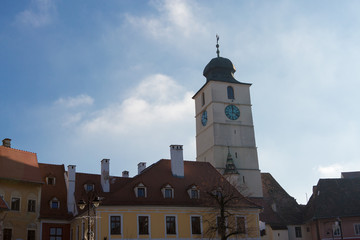 Obraz premium The Town Hall of Sibiu, Transylvania, Romania, A flock of pigeons circling over the roof
