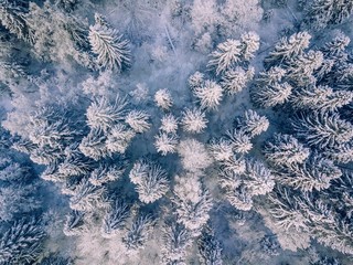 Aerial view of winter forest covered with snow, view from above.