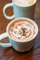 Hot cocoa and chocolate in white cup or mug
