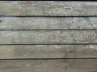 Wood board texture background with pale green dry peeling paint and cracks
