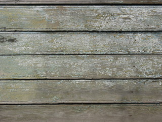 Wood board texture background with pale green dry peeling paint and cracks