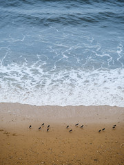 waves and sand