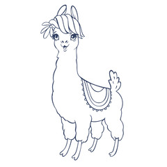 Llama cartoon alpaca. Llama animal vector isolated illustration. Design for card, sticker, fabric textile, t-shirt. Children, child of modern trendy style