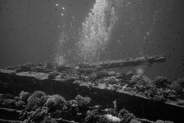 cap sur l'&eacute;pave