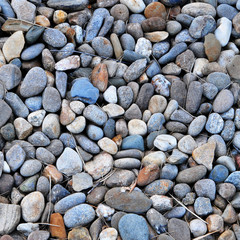 River Stones