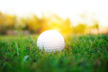 Blurred golf ball on rough in beautiful golf course at sunset background.