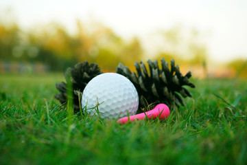golf ball on green in beautiful golf course with sunset. Golf ball close up in golf coures at Thailand