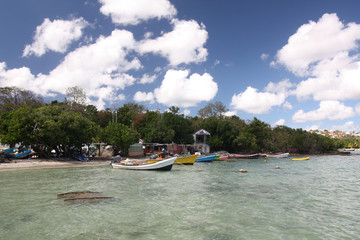 Fototapeta na wymiar Martinique, les barques de pêche de la pointe du Marigot