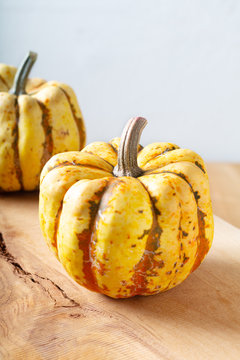 Healthy food concept organic sweet dumpling squash pumpkin on wood with copy space