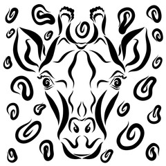 Head of a beautiful giraffe surrounded by spots, background