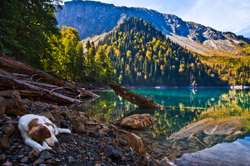 Mountains, green spruce trees and deciduous trees are reflected in the clear water of a mountain...