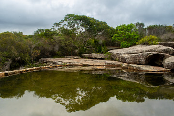 Fototapeta na wymiar Wattamolla Dam, Royal National Park