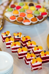 Candy bar table set. Cookies, eclairs, macaroons, fruits, cream and layered cakes. Pastel violet colours.
