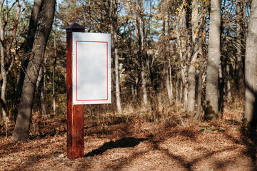 wooden sign in the forest. mockup.