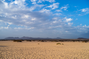 Fototapeta na wymiar Corralejo Natural Park, Fuerteventura, Canary