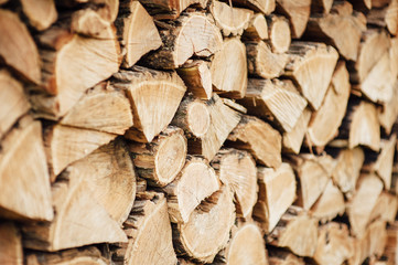 Wooden natural cut logs textured background, side view
