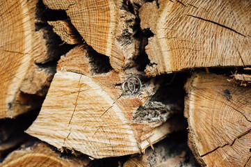 Wooden natural cut logs textured background with wedding rings, side view