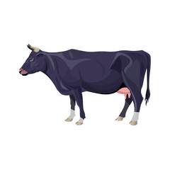 Black cow vector