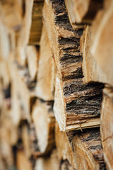 Wooden natural cut logs textured background with wedding rings, side view