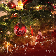 Merry Chritmas 2018