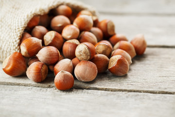 Hazelnuts in a cover, poured out from a bag from burlap on a gray wooden table
