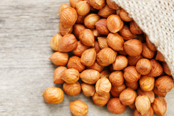 Chiselled hazelnuts in a bag of burlap on a gray wooden table. Organic Fresh Harvested