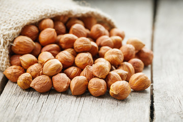 Chiselled hazelnuts in a bag of burlap on a gray wooden table. Organic Fresh Harvested