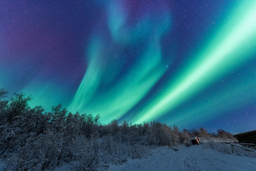 The polar arctic Northern lights aurora borealis sky star in Scandinavia Norway Tromso in the farm...