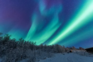Poster De polaire arctische noorderlicht aurora borealis sky star in Scandinavië Noorwegen Tromso in de boerderij winter bos sneeuw bergen © bublik_polina