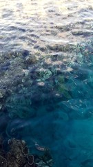 aerial view of the sea