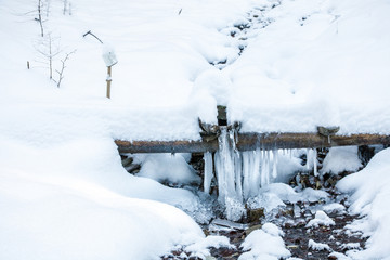 frozen forest spring in snowy forest, mug on a stick