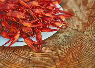Crawfish cooked and served on wooden background