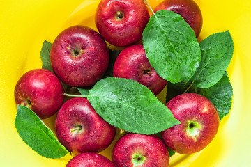 Wet red apples with green leaves in yellow bowl