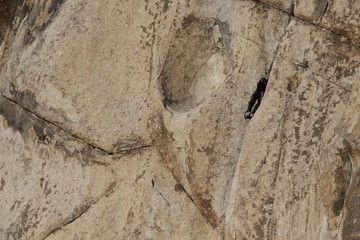klettern im joshua tree national park
