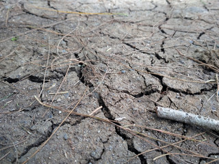 Cracked ground 