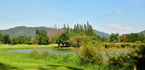 Fototapeta na wymiar Beautiful Golf Field with the Blue Sky