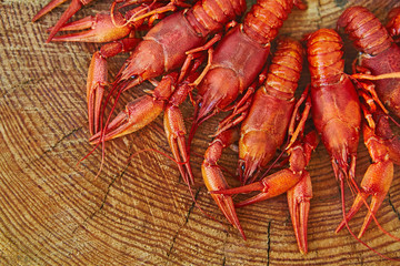 Crawfish cooked and served on wooden background