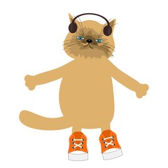 nice cat with earphones 