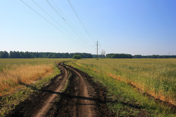 Naklejka na ściany i meble Dirt country road in the field