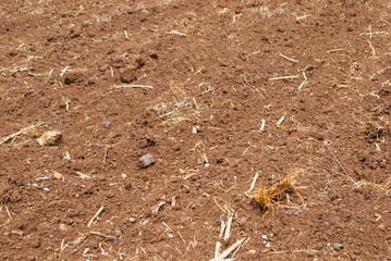 Agriculture Farming ground prepare planting