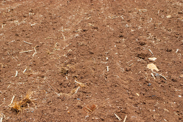 Agriculture Farming ground prepare planting