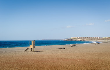 Fototapeta na wymiar Playa de Tejita sand beach at Tenerife island