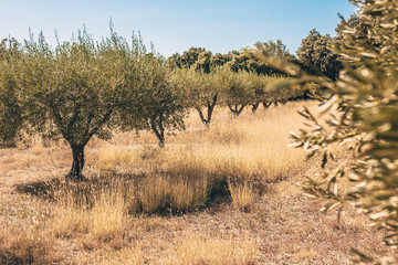 Neighborhoods of the Roman aqueduct Pont du Gard on the river Gardon - recreation area for kayaking, canoeing, rock climbing, and hiking