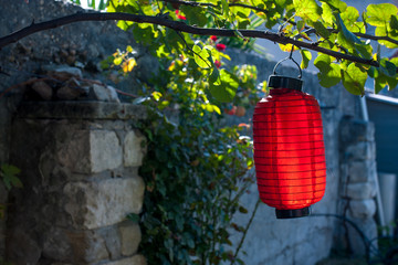 Red Chinese paper lantern in the yard - a mosquito trap