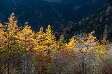 Kamikochi in Autumn, Japanese Alps, Chubu Sangaku National Park